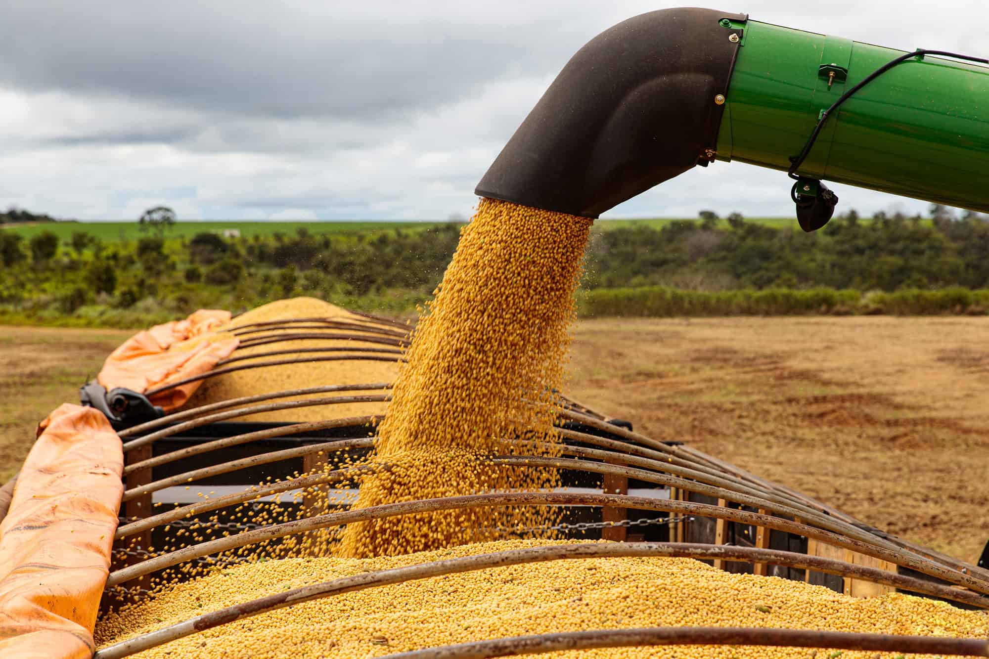 Sala 9 Automação com IA / Lojas Virtuais / Marketing Digital 4 Estudo usa IA para prever safra de soja no Brasil